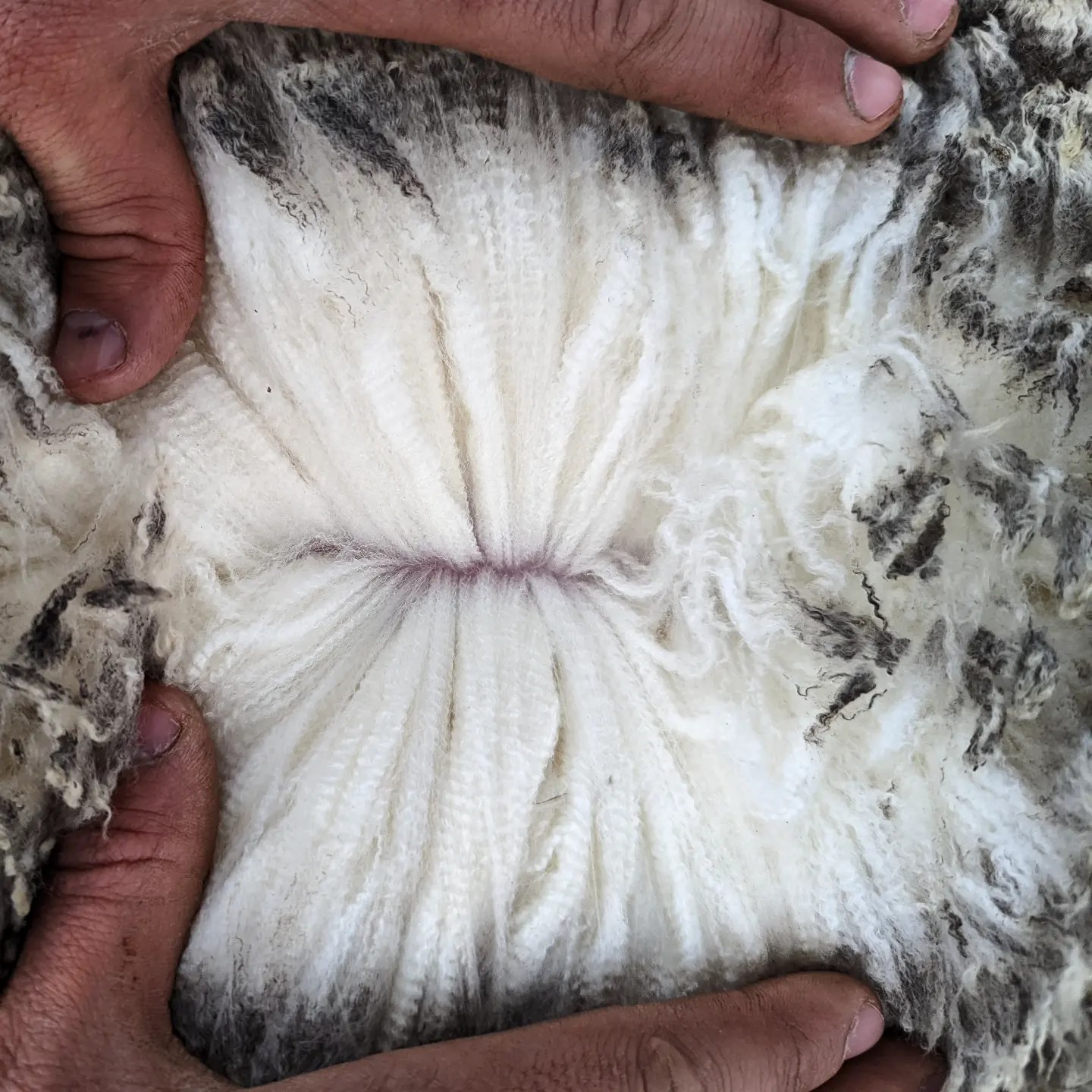 IMG_20220604_092554_600