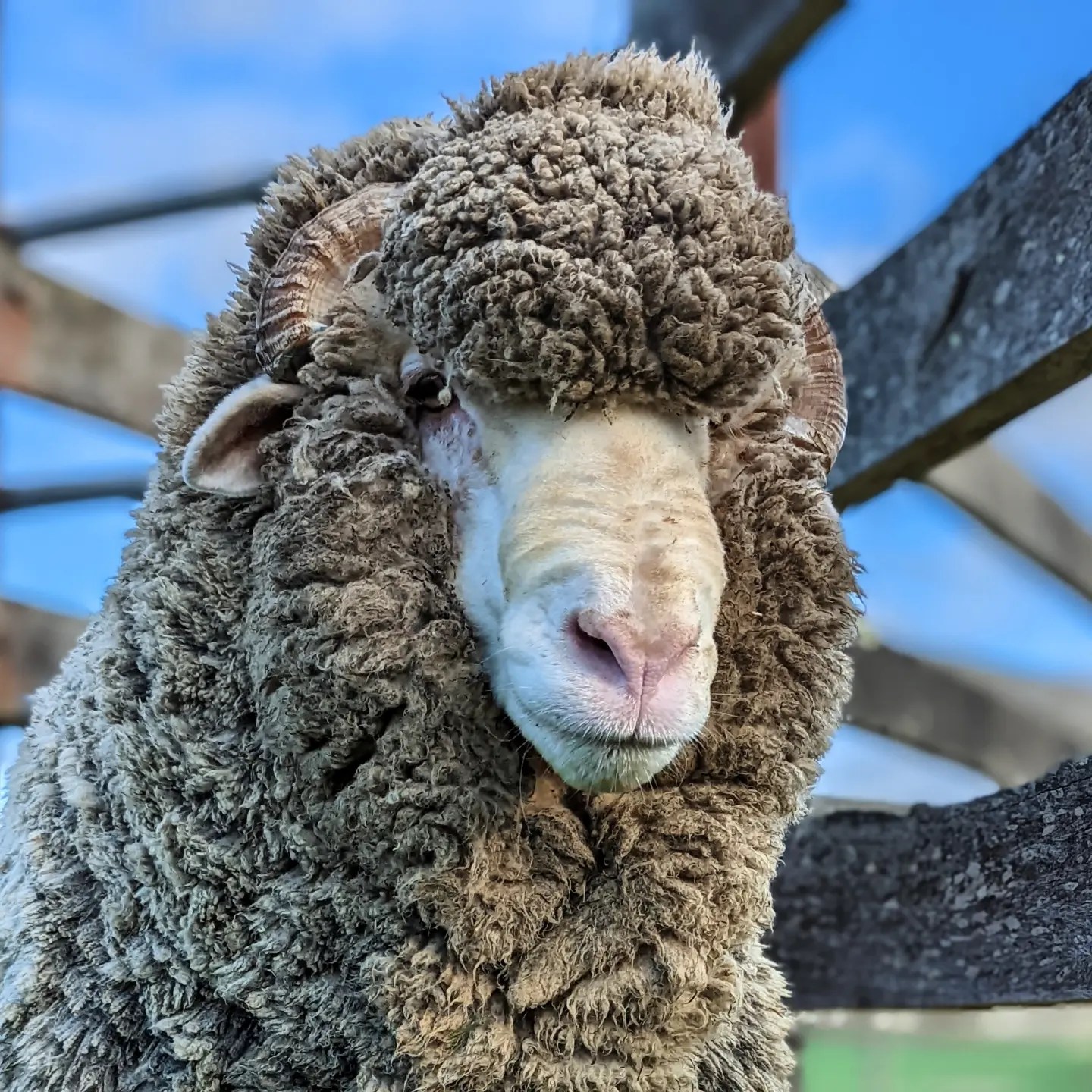 IMG_20220901_170850_170