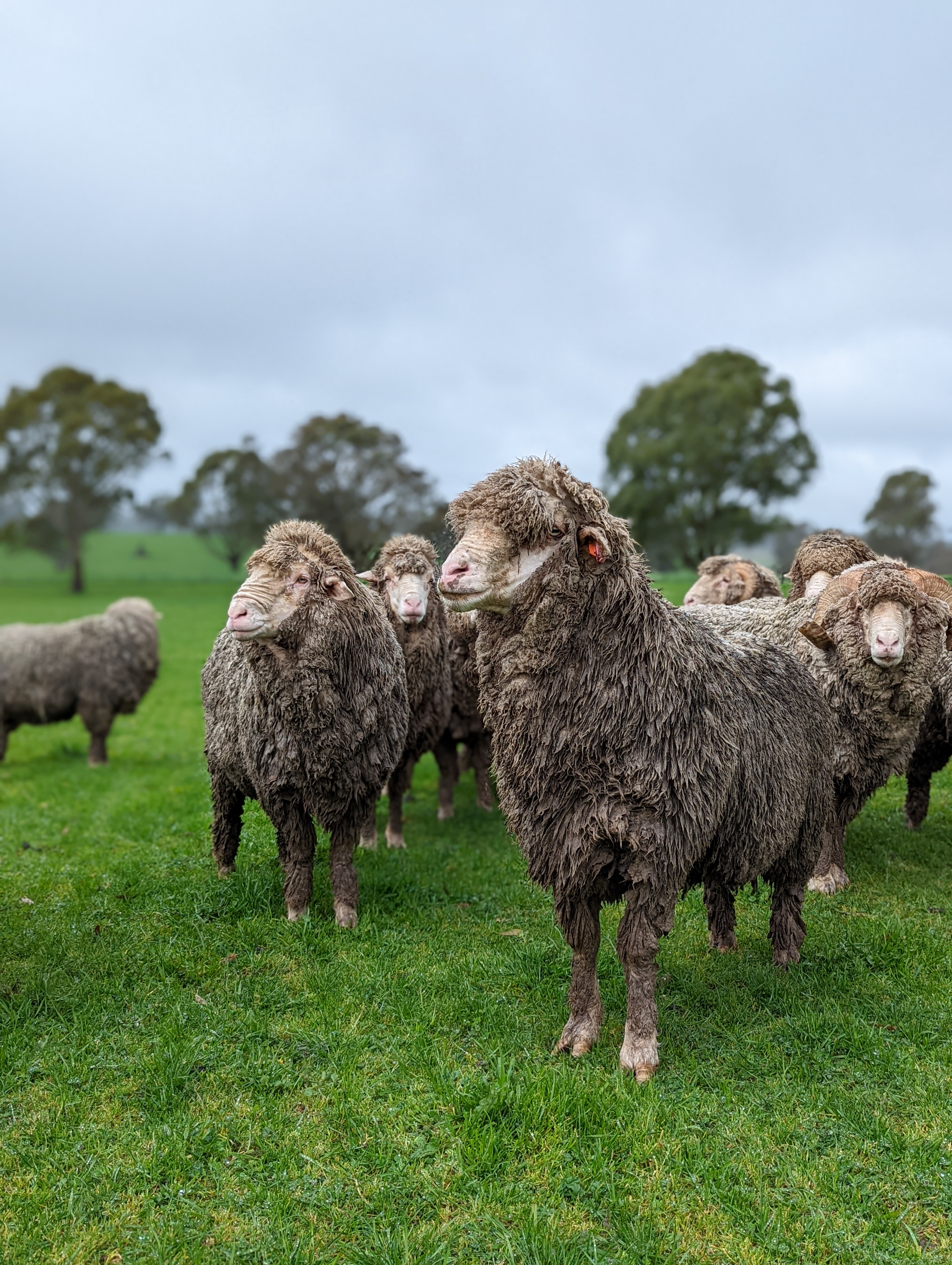 PXL_20220830_024427670.PORTRAIT