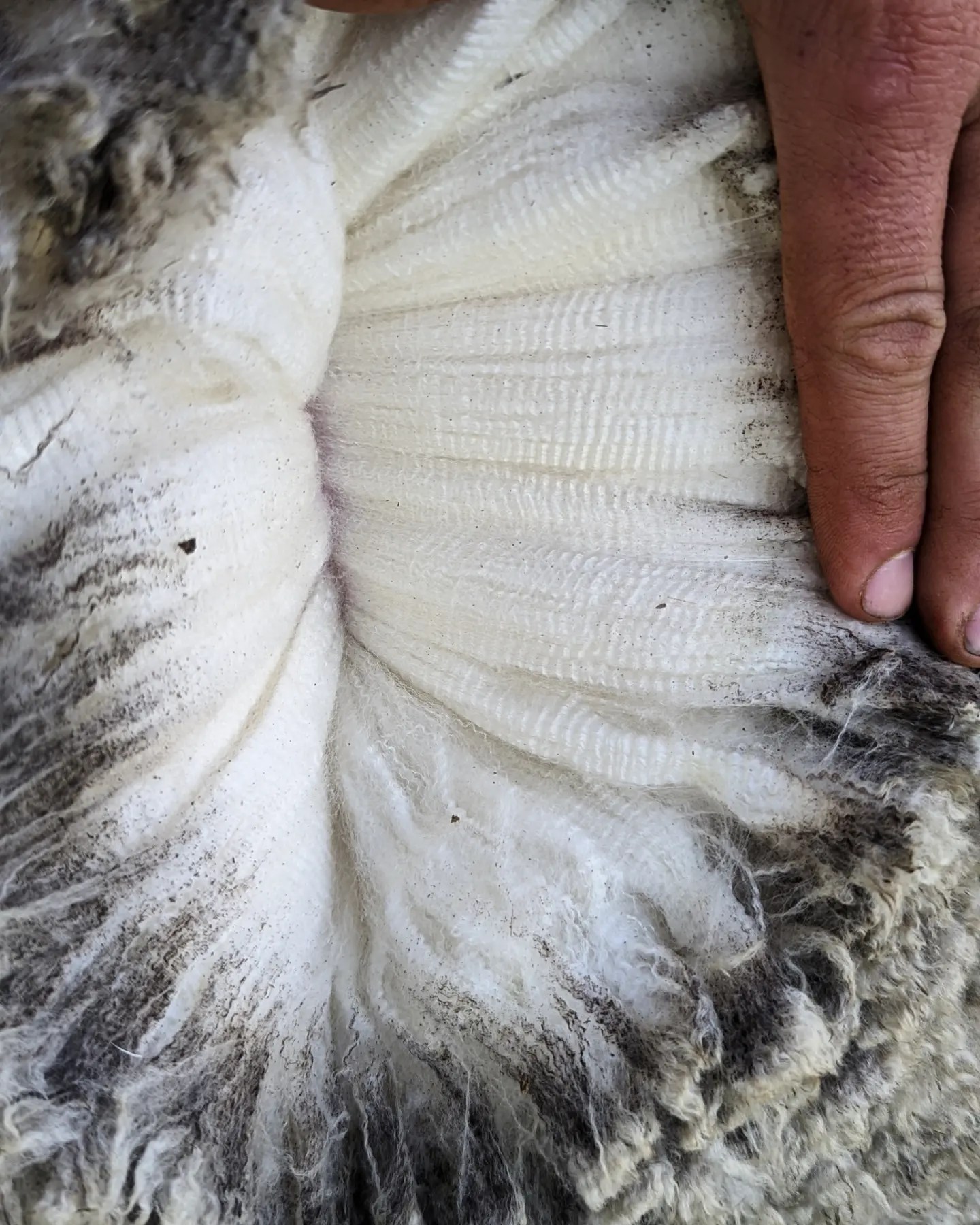 IMG_20220909_073646_343